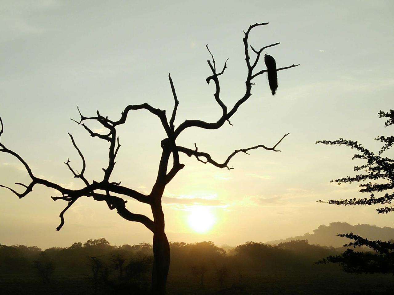 Lake Front Yala Safari Kataragama Luaran gambar