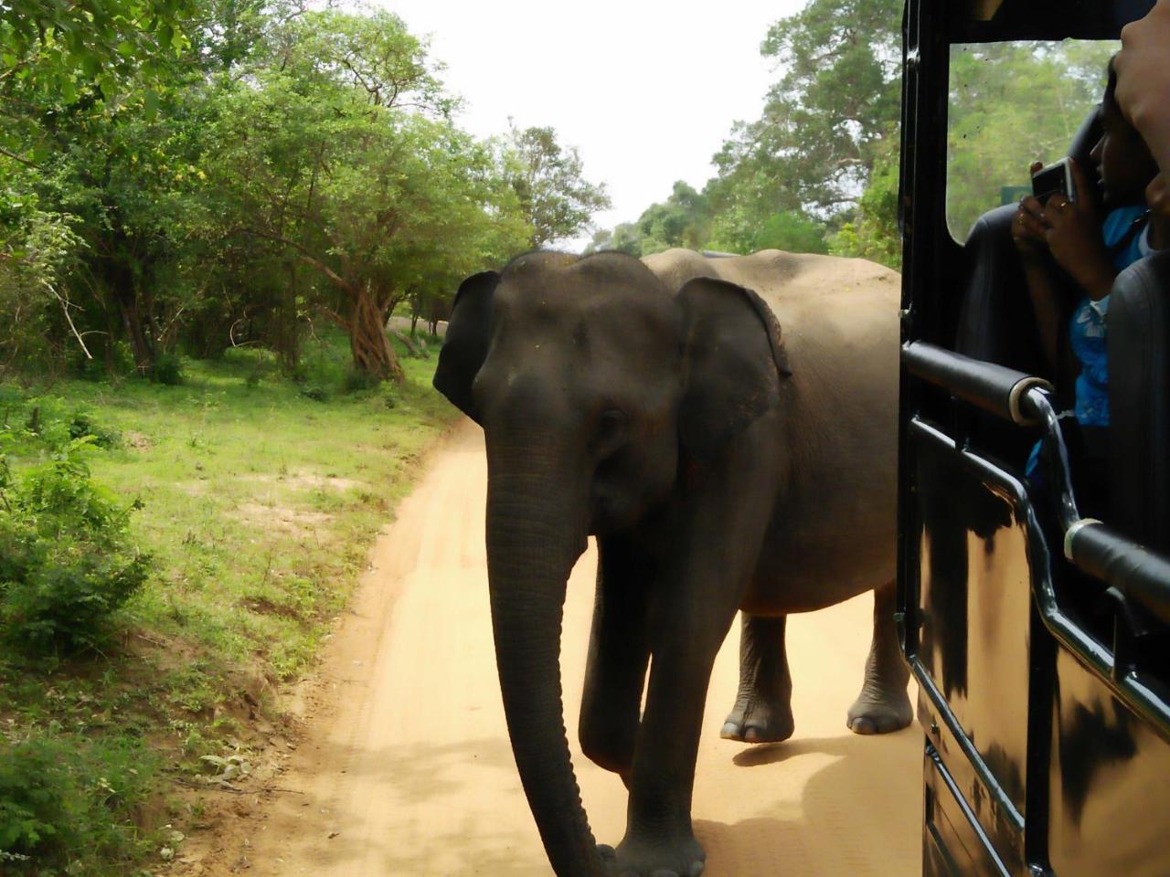 Lake Front Yala Safari Kataragama Luaran gambar